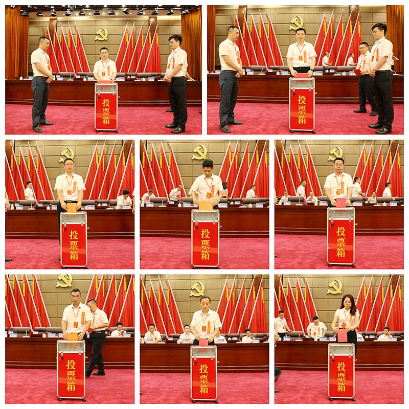大力加强党的建设 全面深化改革发展——公司第三次党员代表大会胜利召开
