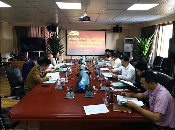 公司召开落实中央纪委《工作建议》暨“强化责任意识 扎实履职尽责”专题民主生活会