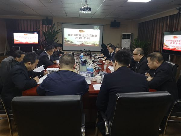 公司党委2018年度基层党建工作责任制考核圆满完成