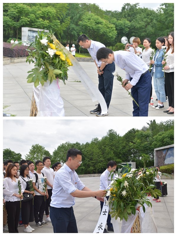 公司团委启动“青春心向党 建功新时代”主题活动